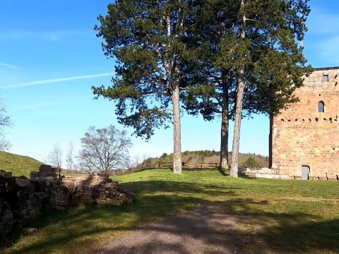 Burg Siersburg 2021